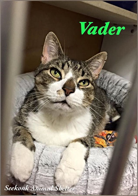Vader